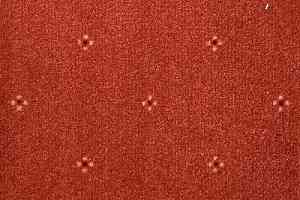 Ковролин AW Animo 88 фото  | FLOORDEALER